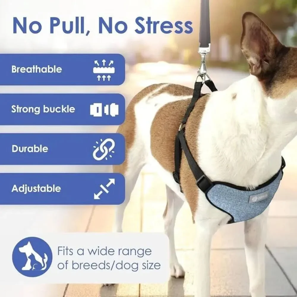 AKC Padded Step-in Dog Harness – Comfort Fit with Dual D-Ring No Pull GREEN